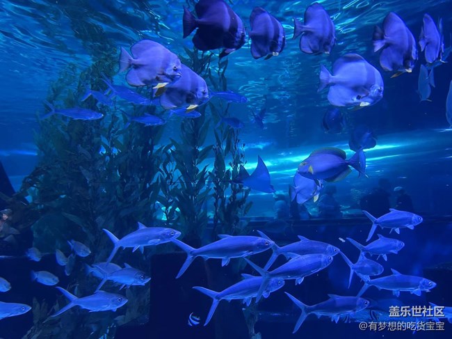 [回顧貼]撫順皇家極地海洋世界之旅上篇