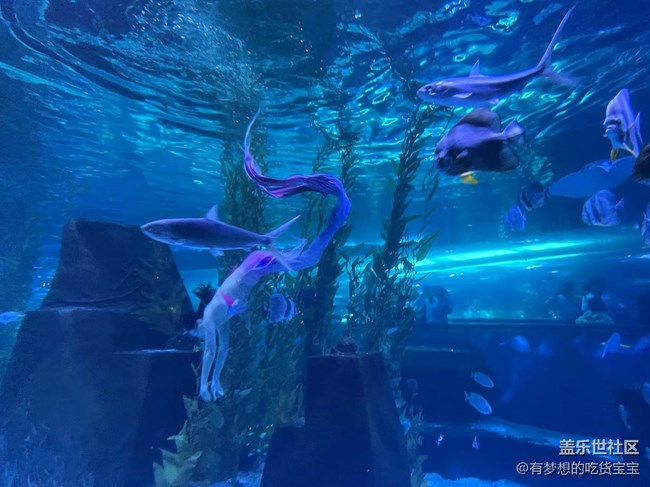 [回顧貼]撫順皇家極地海洋世界之旅上篇