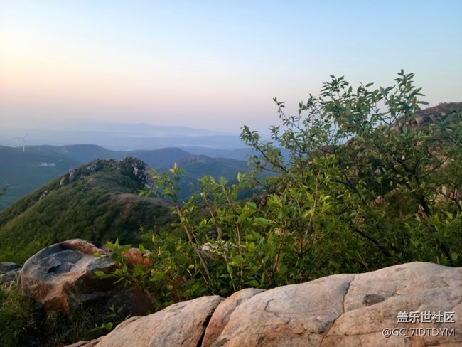 【山野之間】山中小花