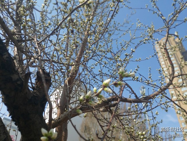 【初夏味道】花香