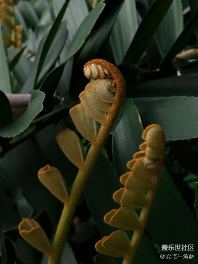 【山野之間】綠之氣息