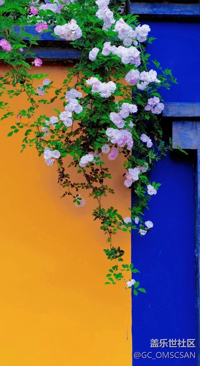 N20U電池還行吧！