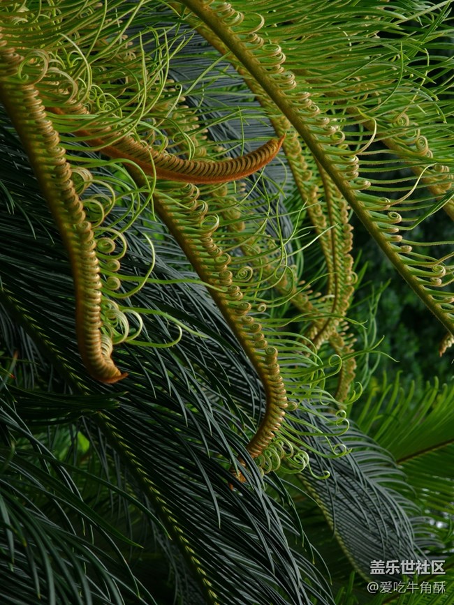 【山野之間】綠之氣息