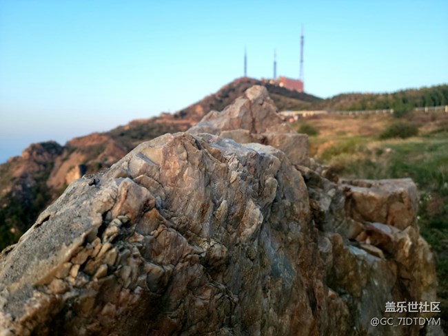 【山野之間】山中小花