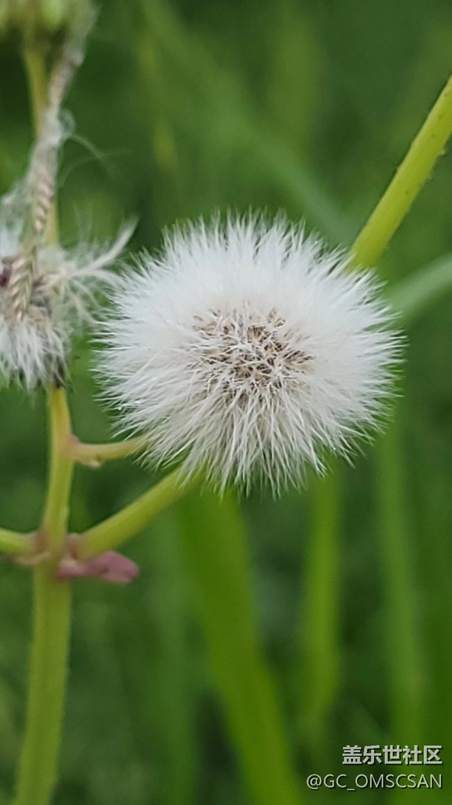 N20U電池還行吧！