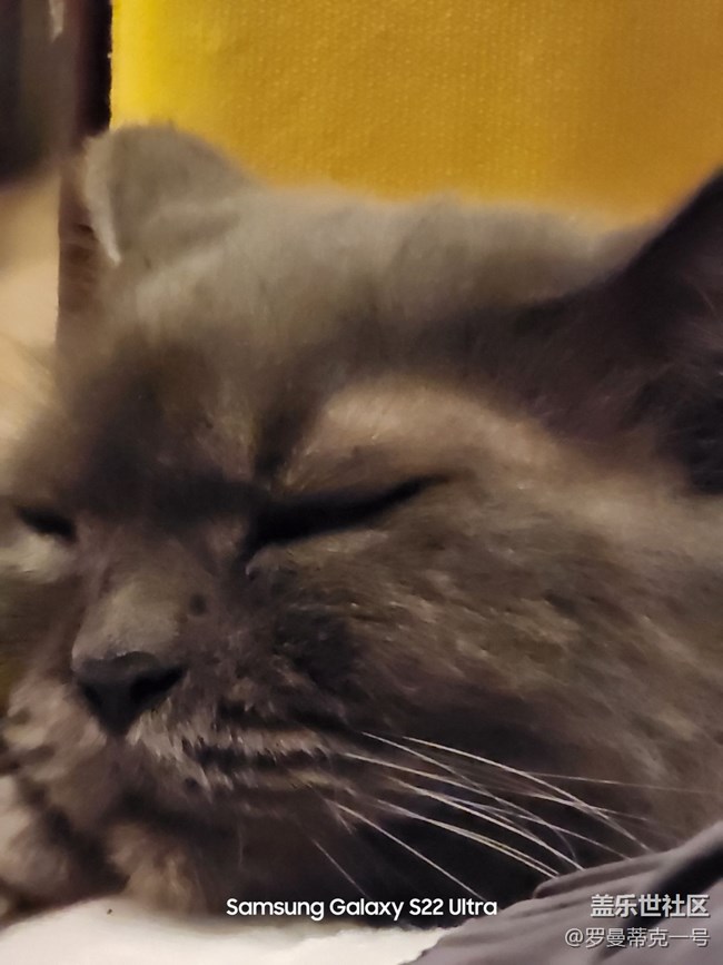 無語 第二版 5.1 原生照相 app 嚴重削弱 22u 超長焦成像素質(zhì)