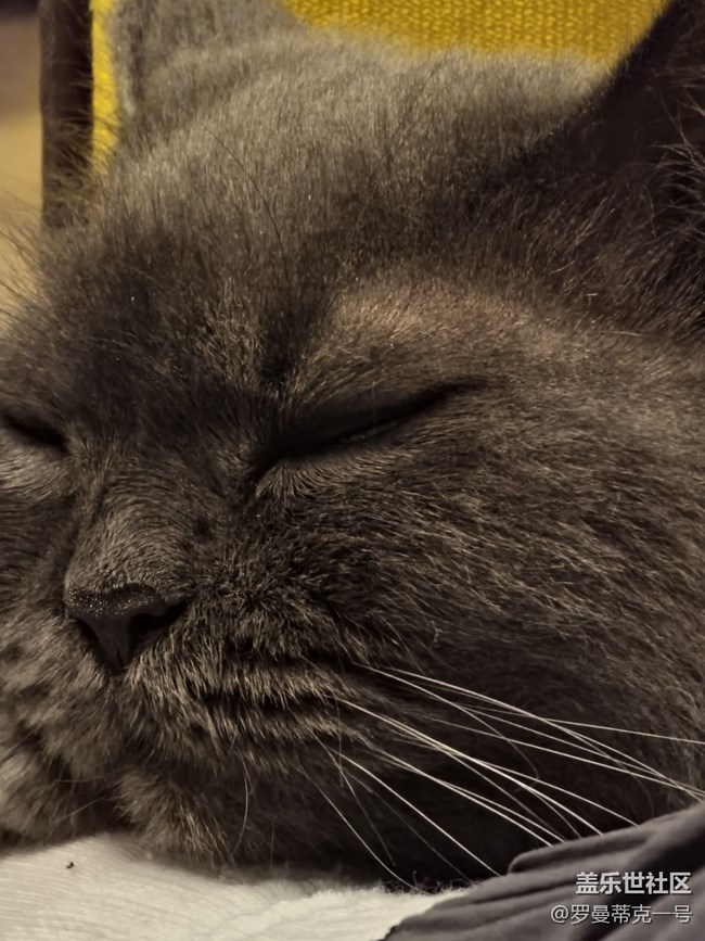 無語 第二版 5.1 原生照相 app 嚴重削弱 22u 超長焦成像素質(zhì)