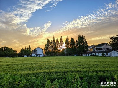拍夕陽(yáng)
