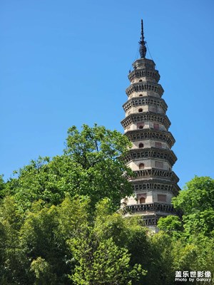 隨手拍