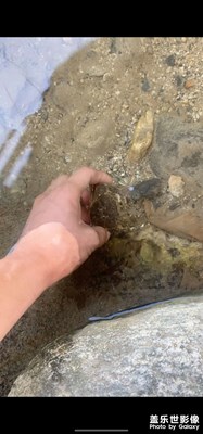 ??