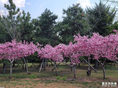 還不錯(cuò)