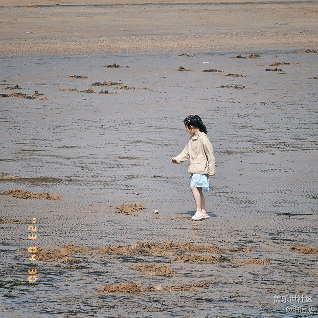 青島星部落4月30日S23拍攝品鑒