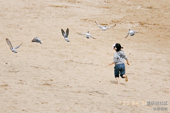 青島星部落4月30日S23拍攝品鑒