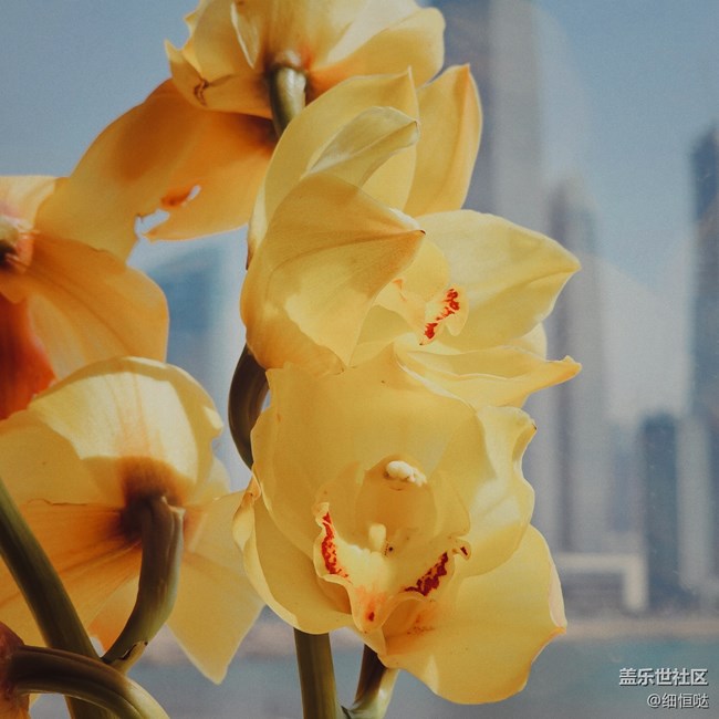 青島星部落4月30日S23拍攝品鑒