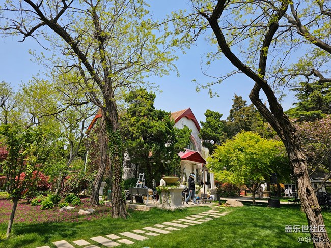 青島星部落4月30日S23拍攝品鑒