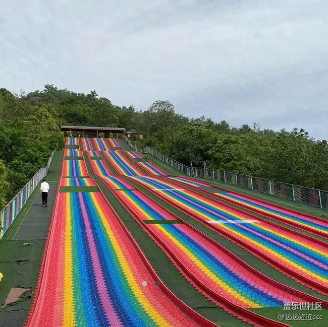 【四季果實】初夏