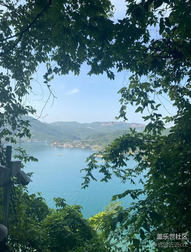 【四季果實】初夏