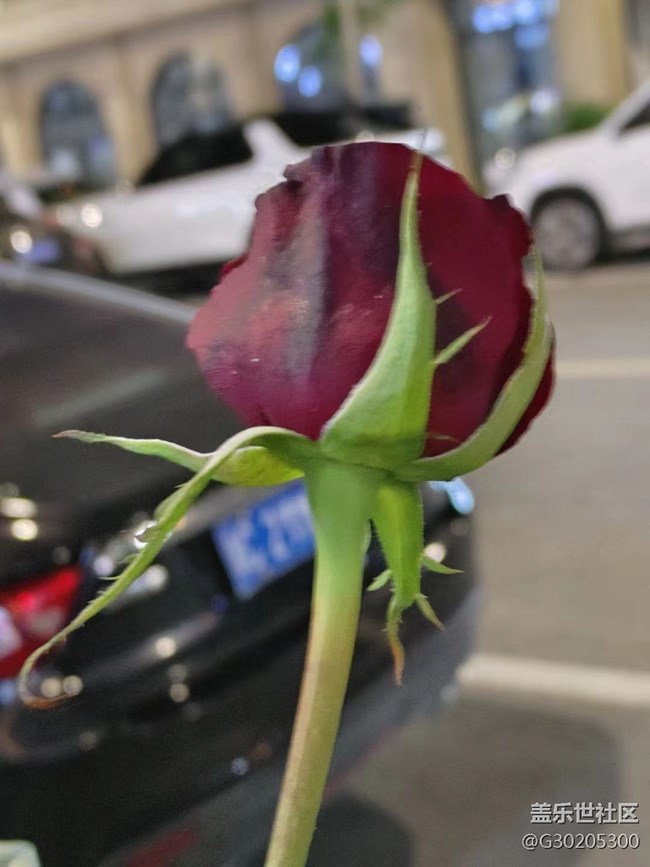 【初夏味道】花花