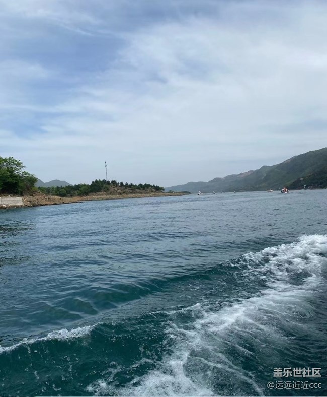 【四季果實】初夏