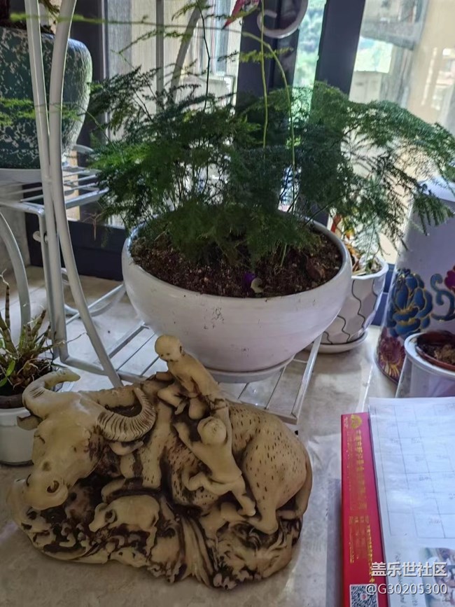 【春色滿園】綠植