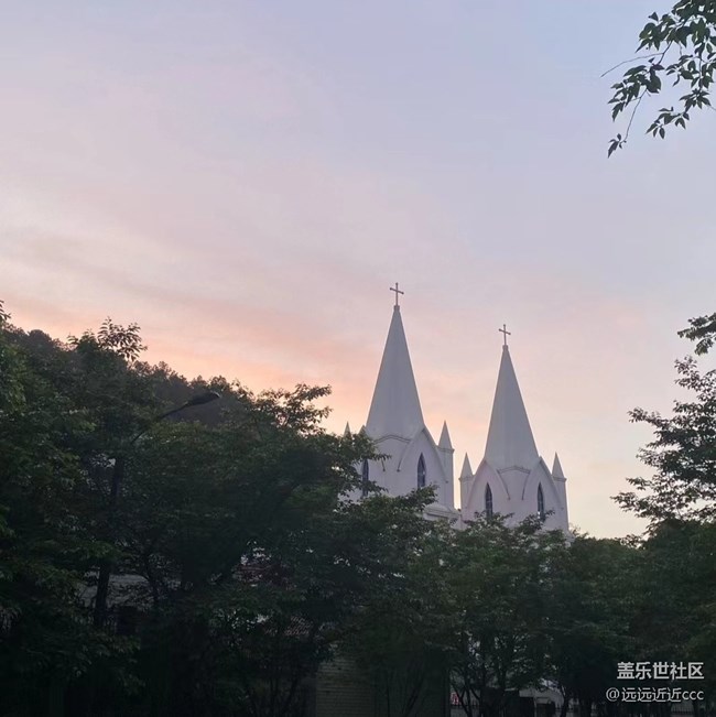 【四季果實】初夏