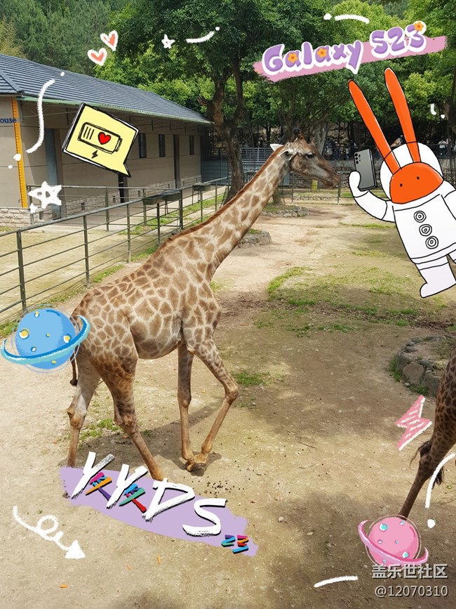 【mission兔打卡】+安吉中南百草園