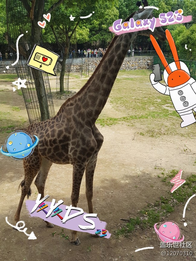 【mission兔打卡】+安吉中南百草園