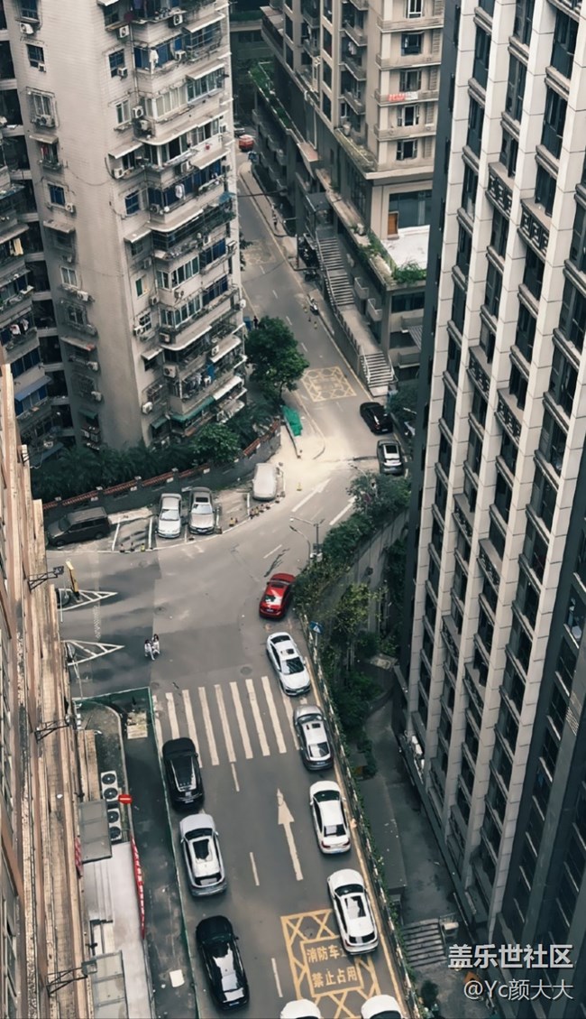 【mission兔打卡】 + 重慶人兔人