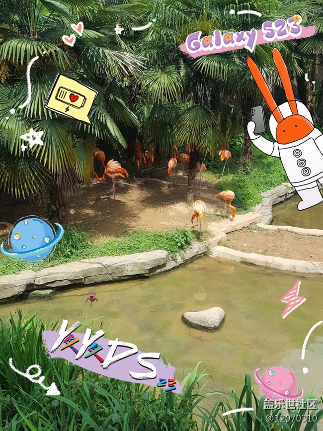 【mission兔打卡】+安吉中南百草園