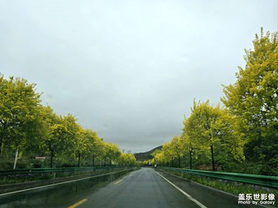 【我的五一】+山東五蓮雨蒙蒙