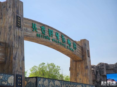 【五一隨拍】+動物世界