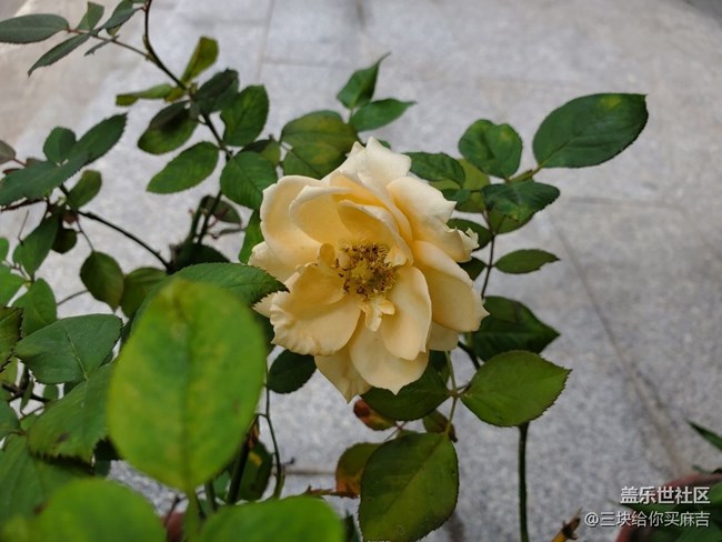 【五一游玩記】買菜