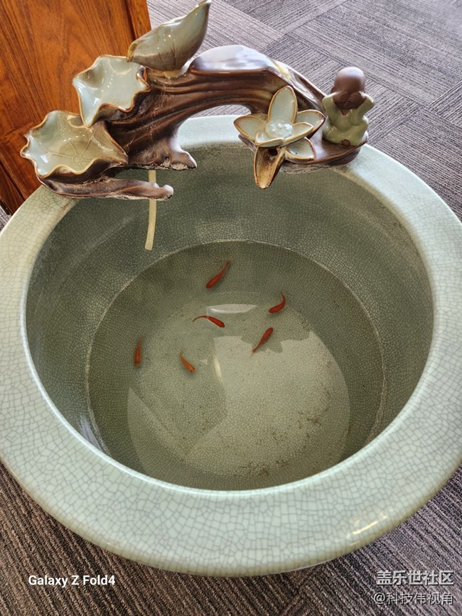 用Galaxy Z Fold4記錄五一假期的美好瞬間