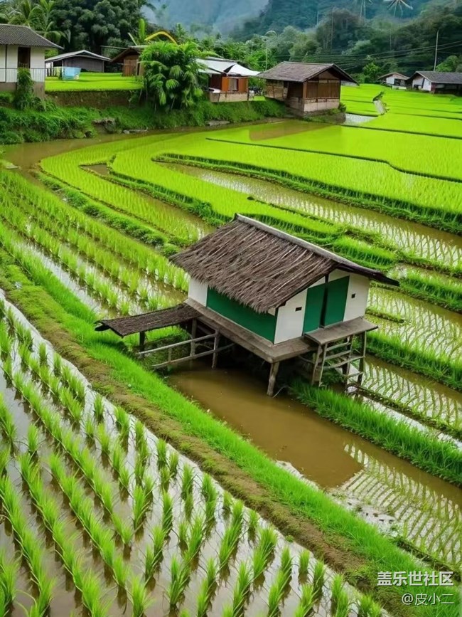 【初夏味道】田野