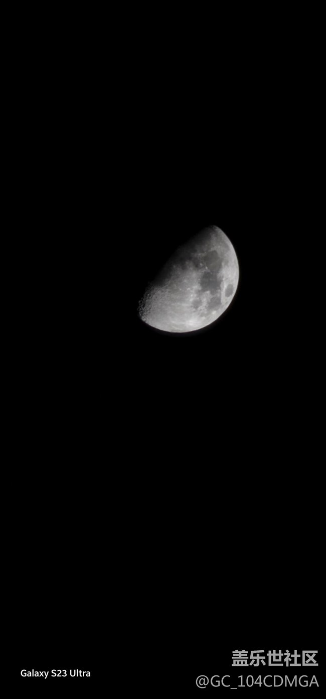 【mission兔打卡】遇見兔子 零散的心情