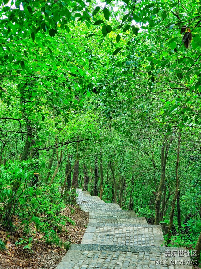 【品美食走山河】+逛吃逛吃