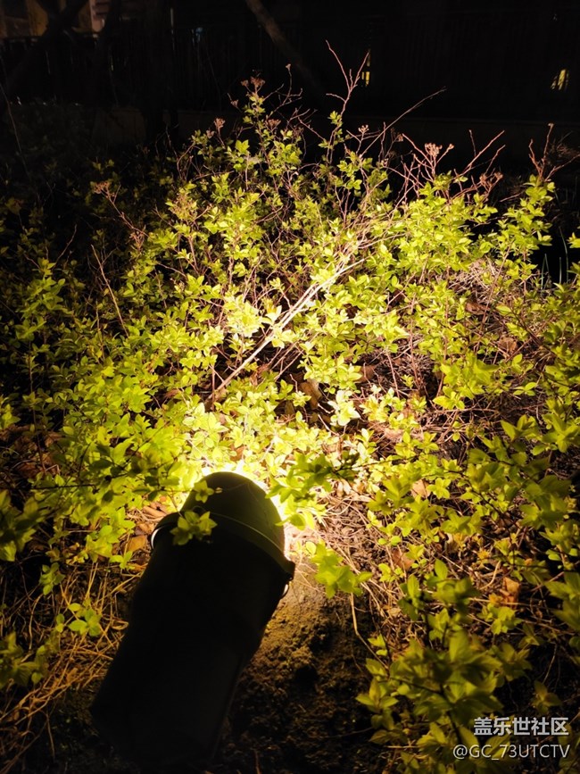 分享一些Flip 4的夜景