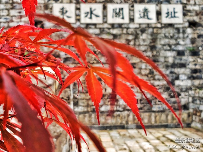 【品美食走山河】+逛吃逛吃