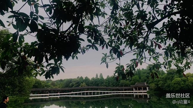 【春色滿園】春天美景