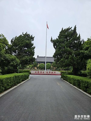隨手拍