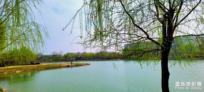 醉美春色