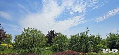 隨拍