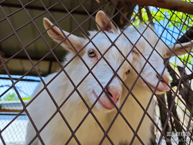 登高望遠(yuǎn)……遼陽(yáng)核伙溝森林公園回顧