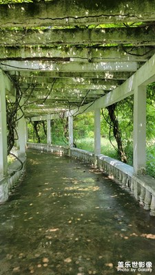 橫里橫氣