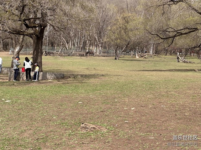 【鹿苑之行】——我和哈爾濱星粉出去玩的一天