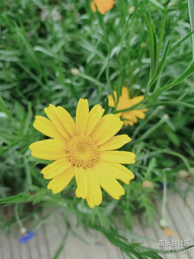 【初夏味道】立夏