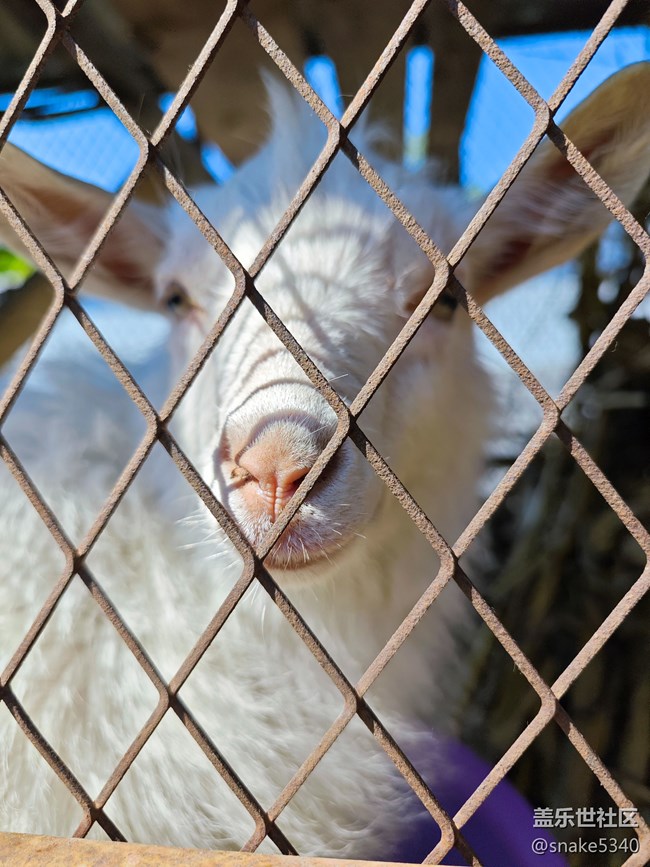 登高望遠(yuǎn)……遼陽(yáng)核伙溝森林公園回顧