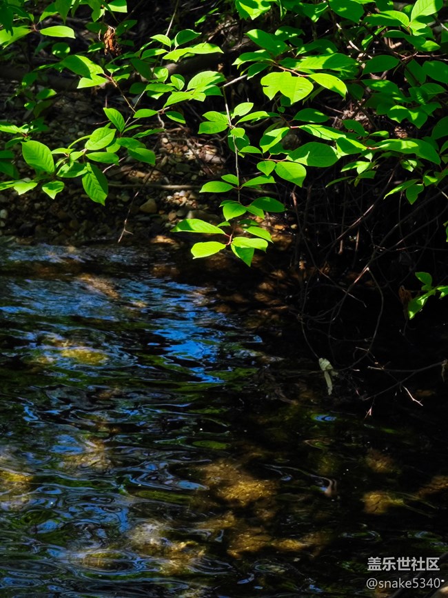 登高望遠(yuǎn)……遼陽(yáng)核伙溝森林公園回顧