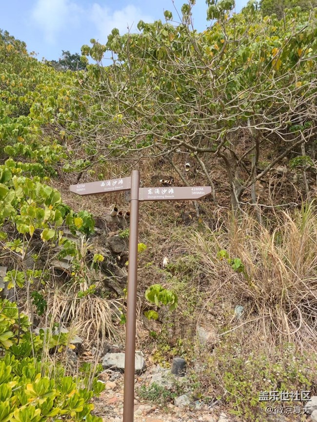 【打工人，520】穿越東西沖