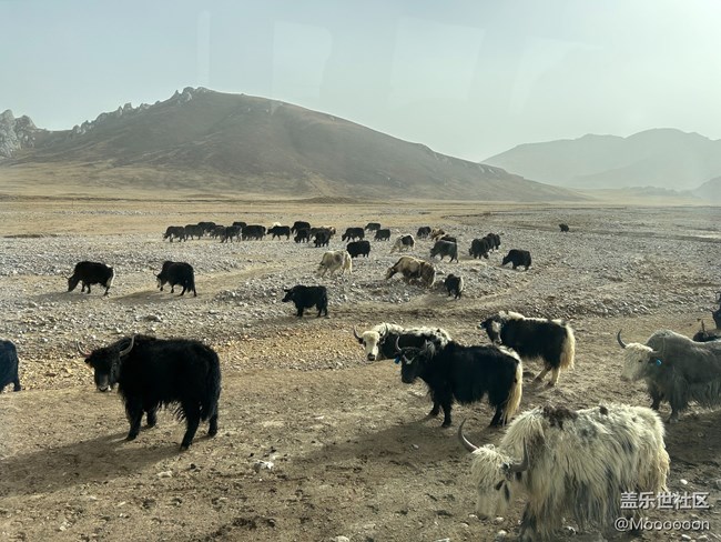 【五一游玩記】五一去了中國大西北